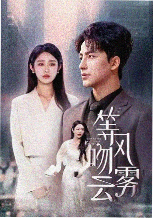 无声证词 日韩悬疑剧